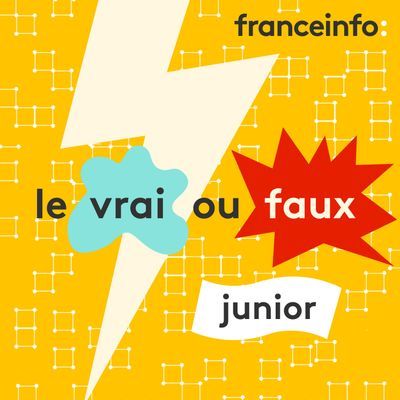 400x400 sc apprf le vrai ou faux junior 2