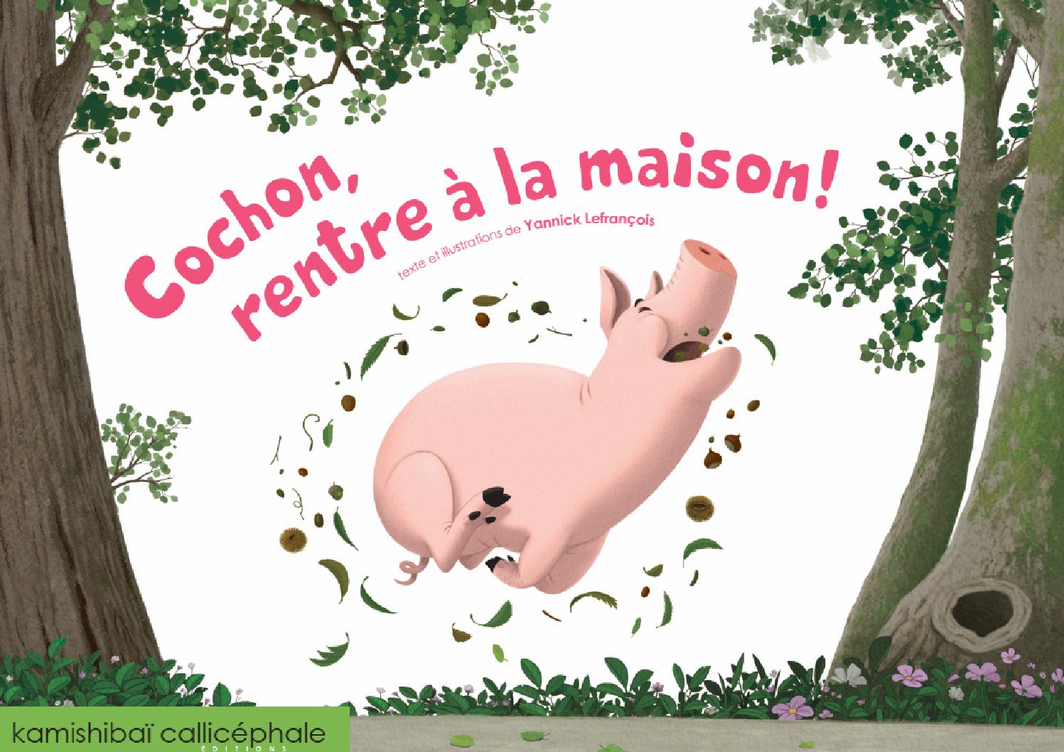 cochon couv